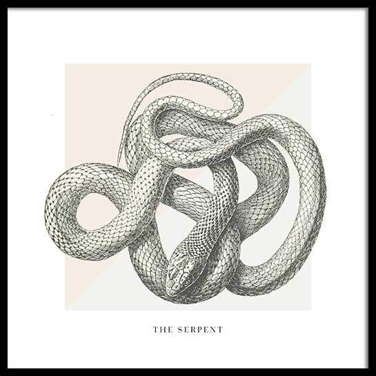 THE SERPENT POSTER