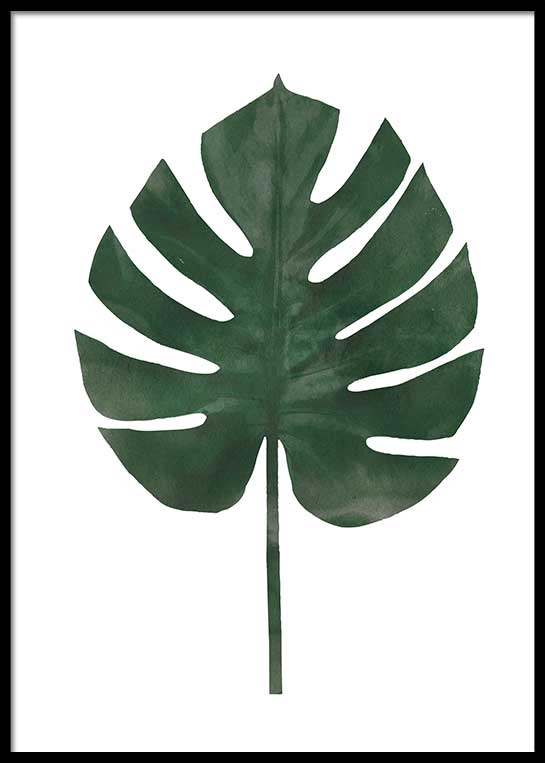 MONSTERA WATER COLOR POSTER