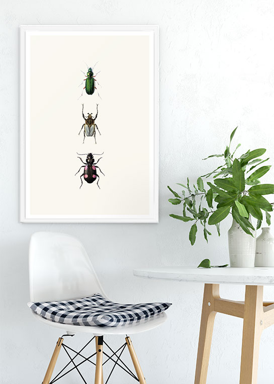 VINTAGE BUGS NO. 1 POSTER