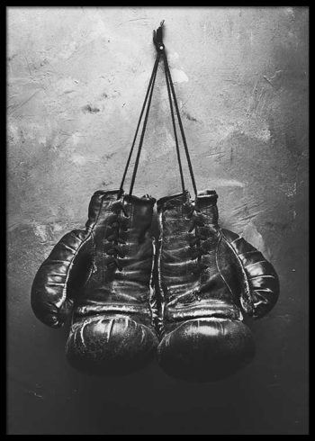BOXING GLOVES POSTER