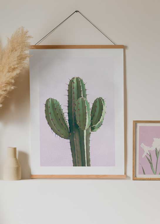 CACTUS ON PINK POSTER